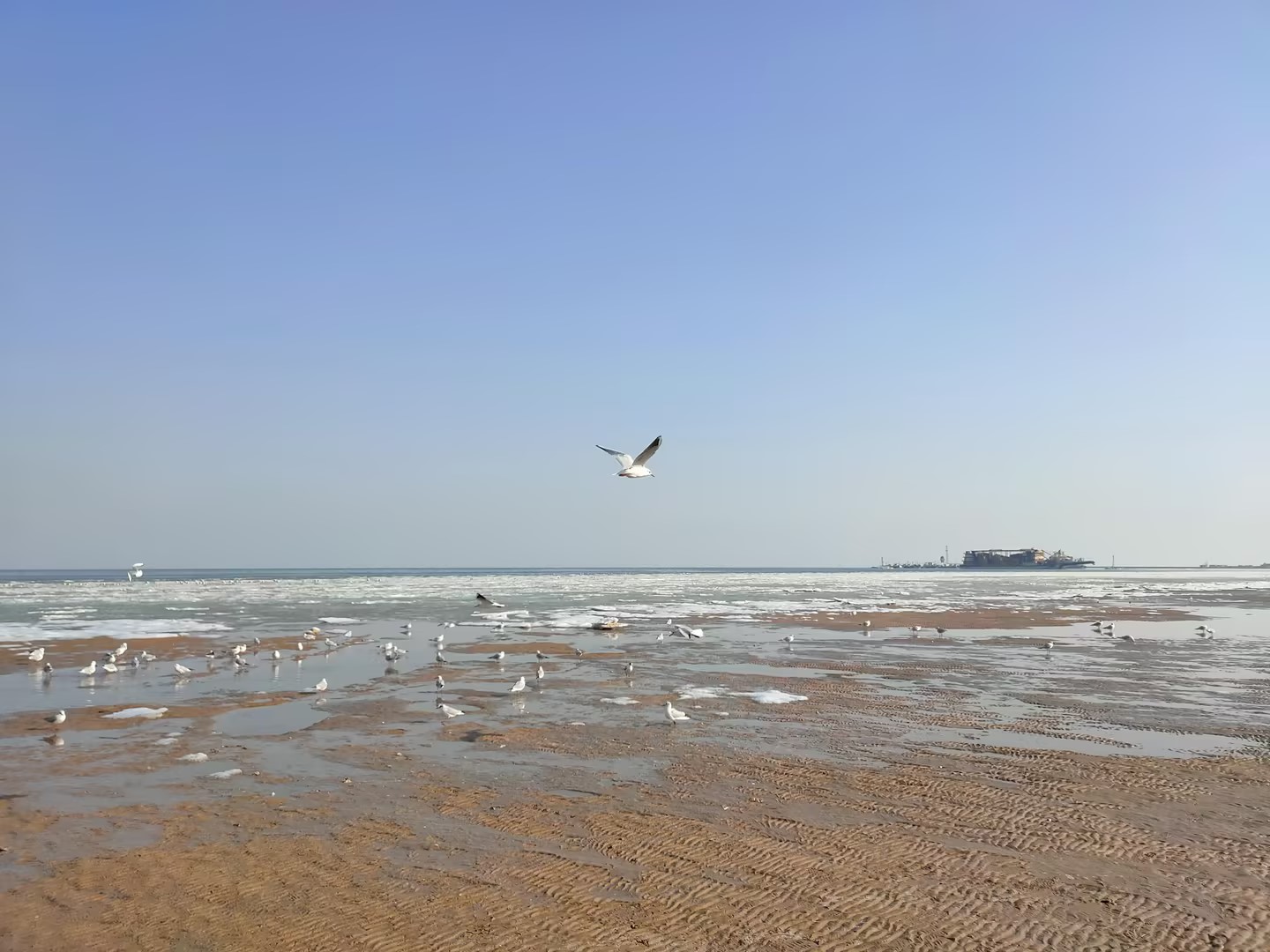 研发一轮测试效果图