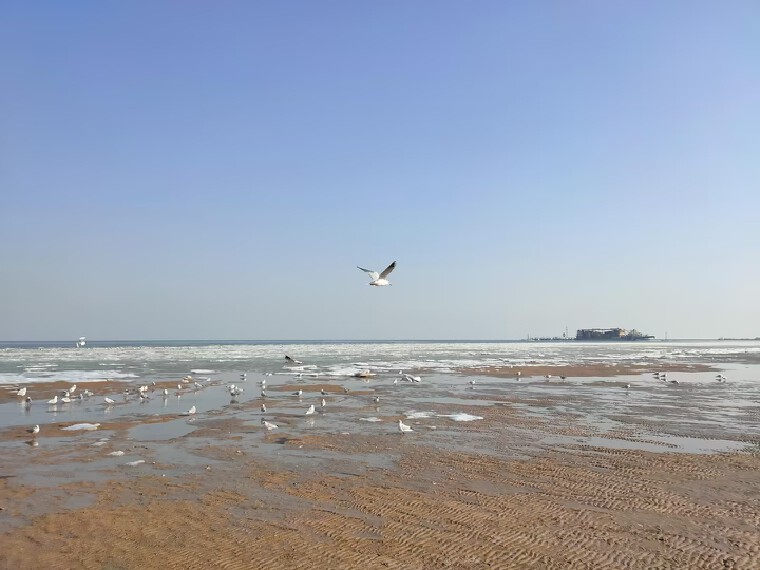 研发一轮测试楼盘实景图